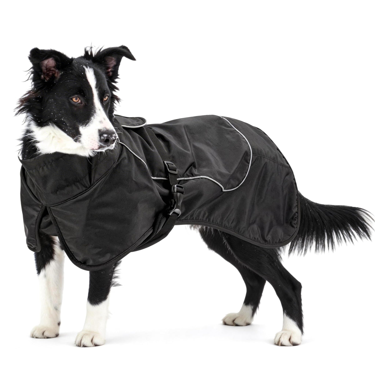 Manteau Skmeditec imperméable pour chien noir XXL, protection totale contre pluie et neige.