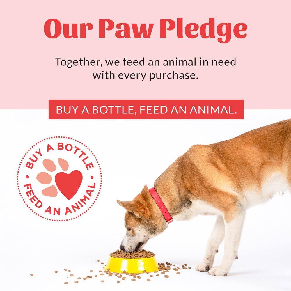 SKOUT'S HONOR Engagement pour animaux – soutenir des animaux dans le besoin avec chaque achat.