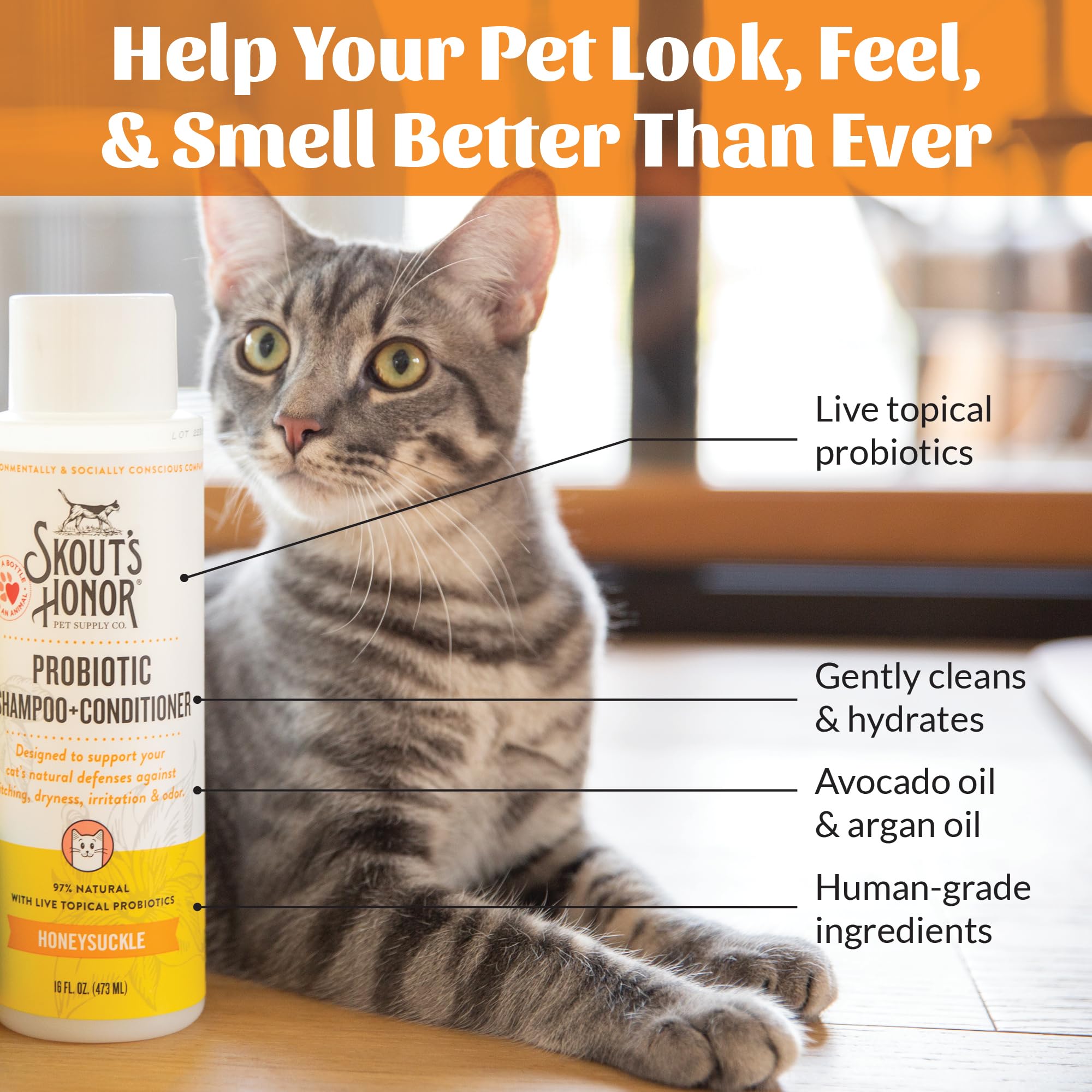 Peau du chat apaisée et hydratée après le soin Skout's Honor.