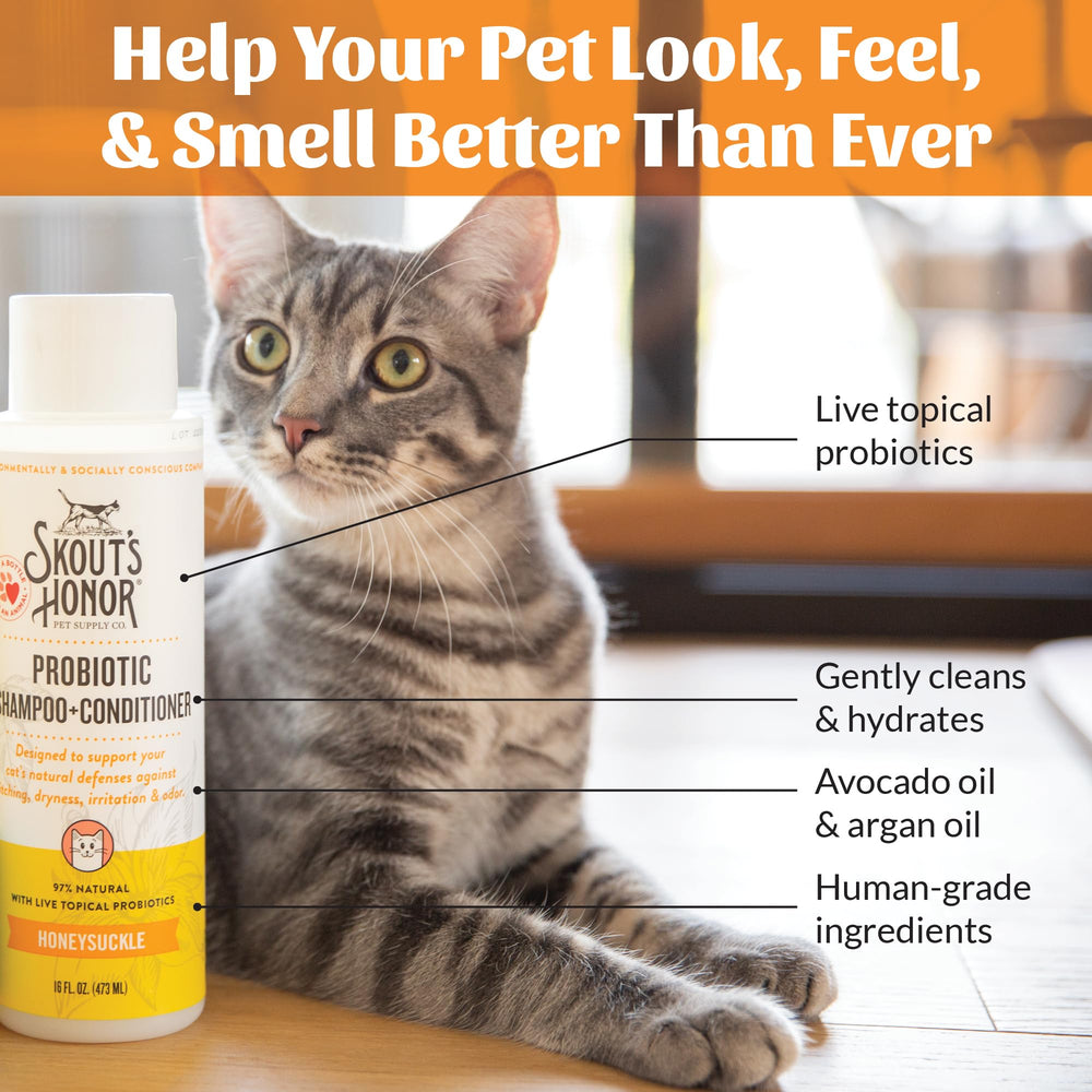 Peau du chat apaisée et hydratée après le soin Skout's Honor.