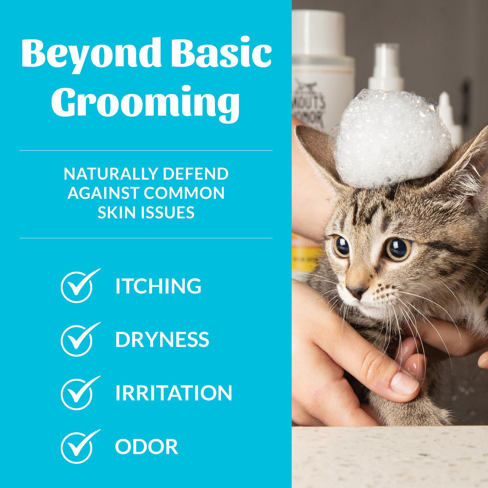 Probiotiques Skout's Honor pour chat, soutien du microbiome cutané.
