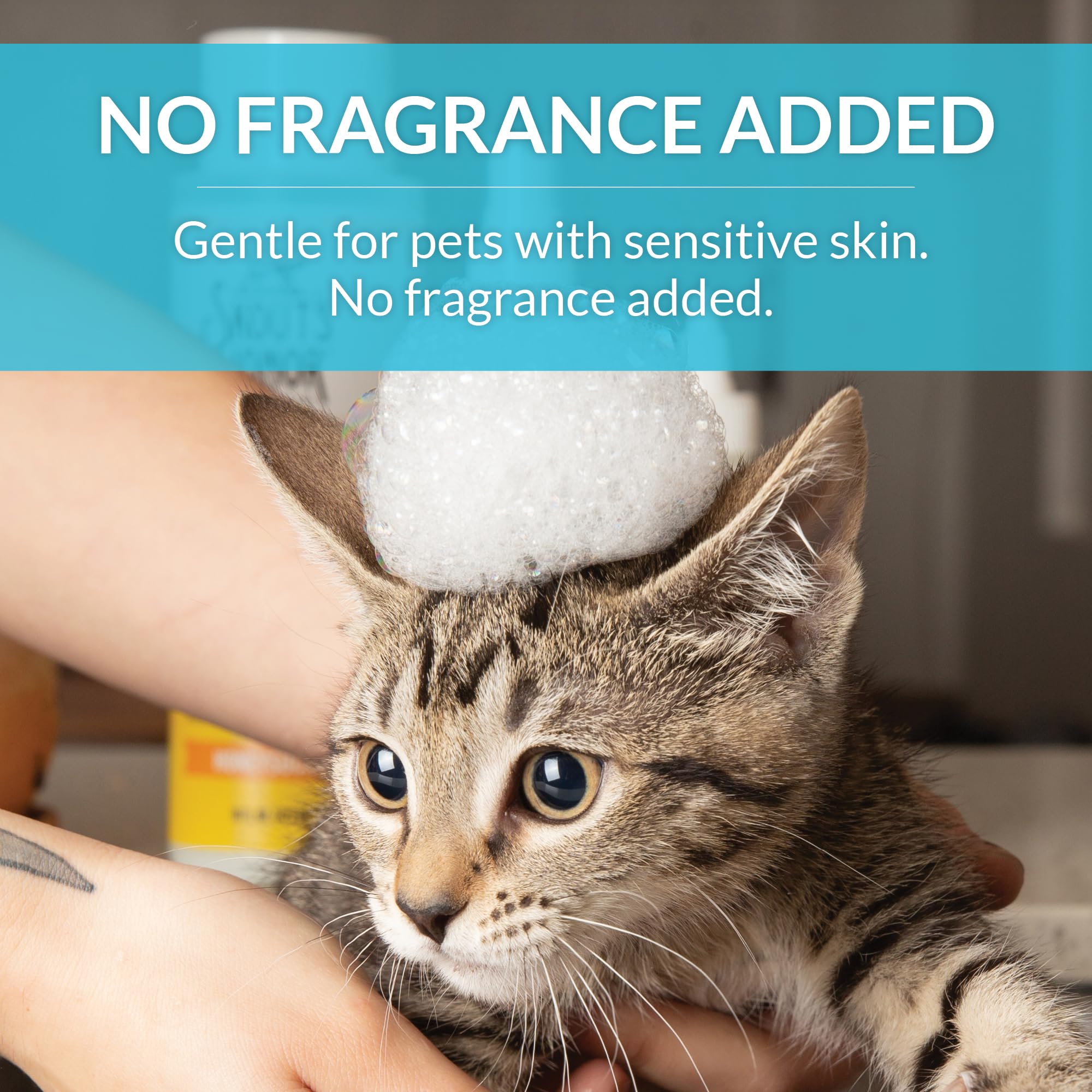 Formule Skout's Honor sans cruauté animale pour chat.