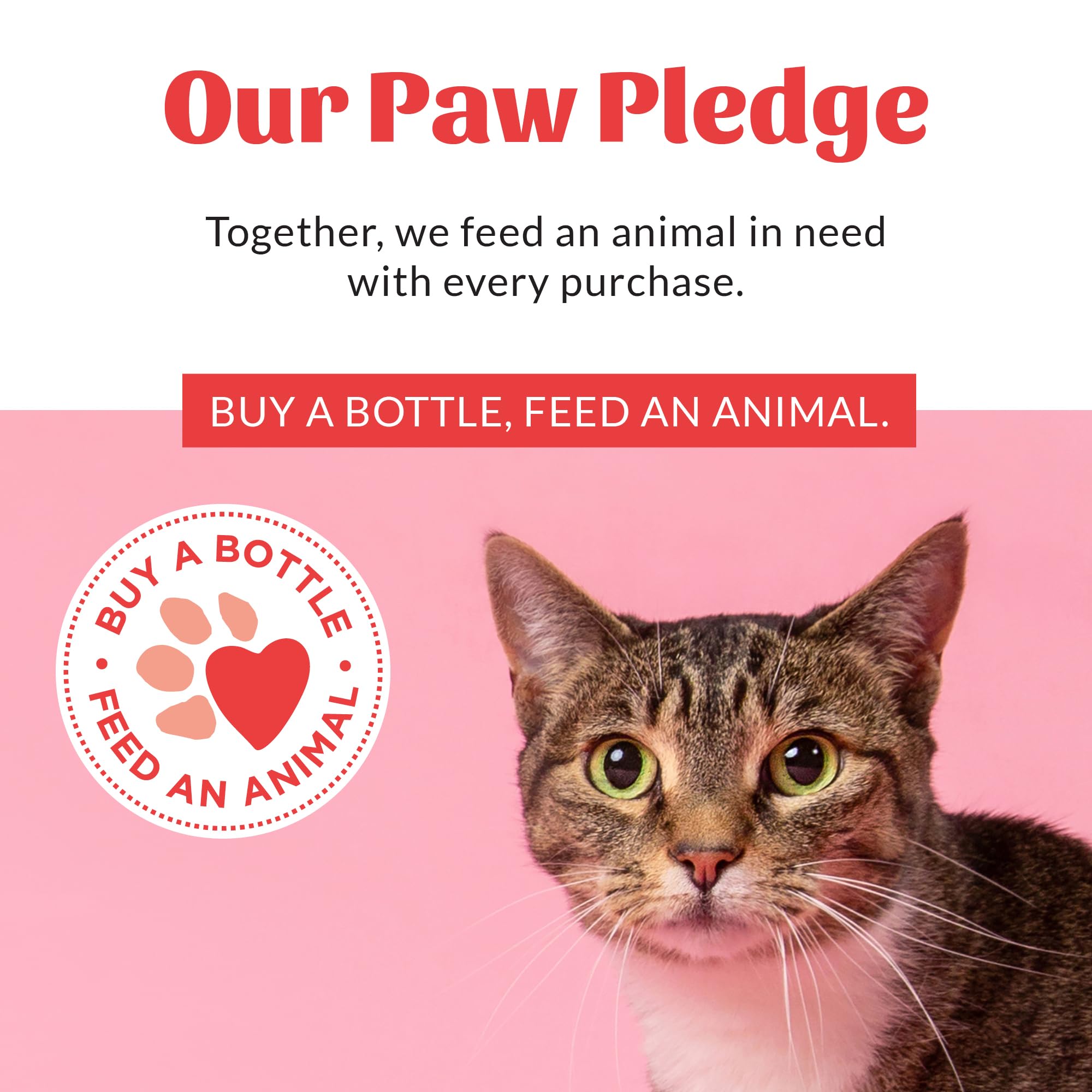 Skout's Honor – sécurité pour animaux et familles, formule douce.