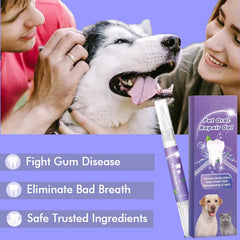 Application sur les dents avec le gel SKROSS, pour chiens et chats.