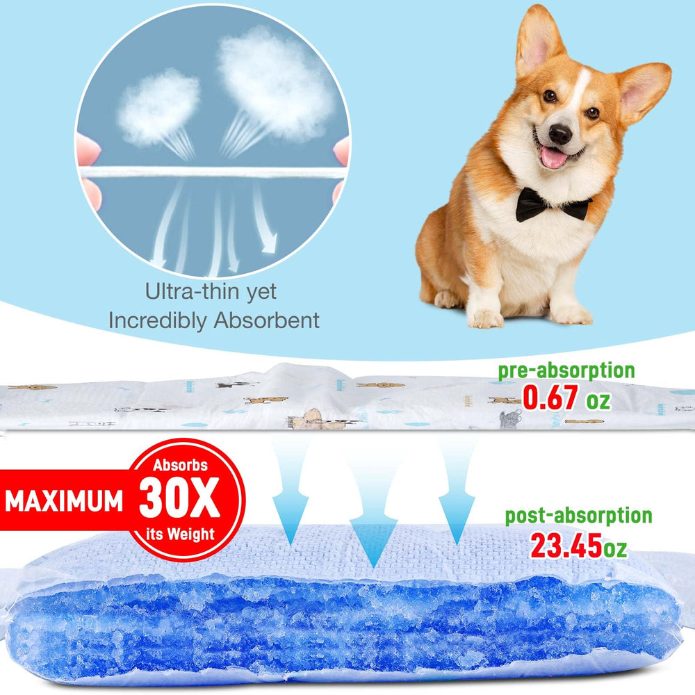 Couches SkyLion mâles à absorption rapide gardent le chien au sec.