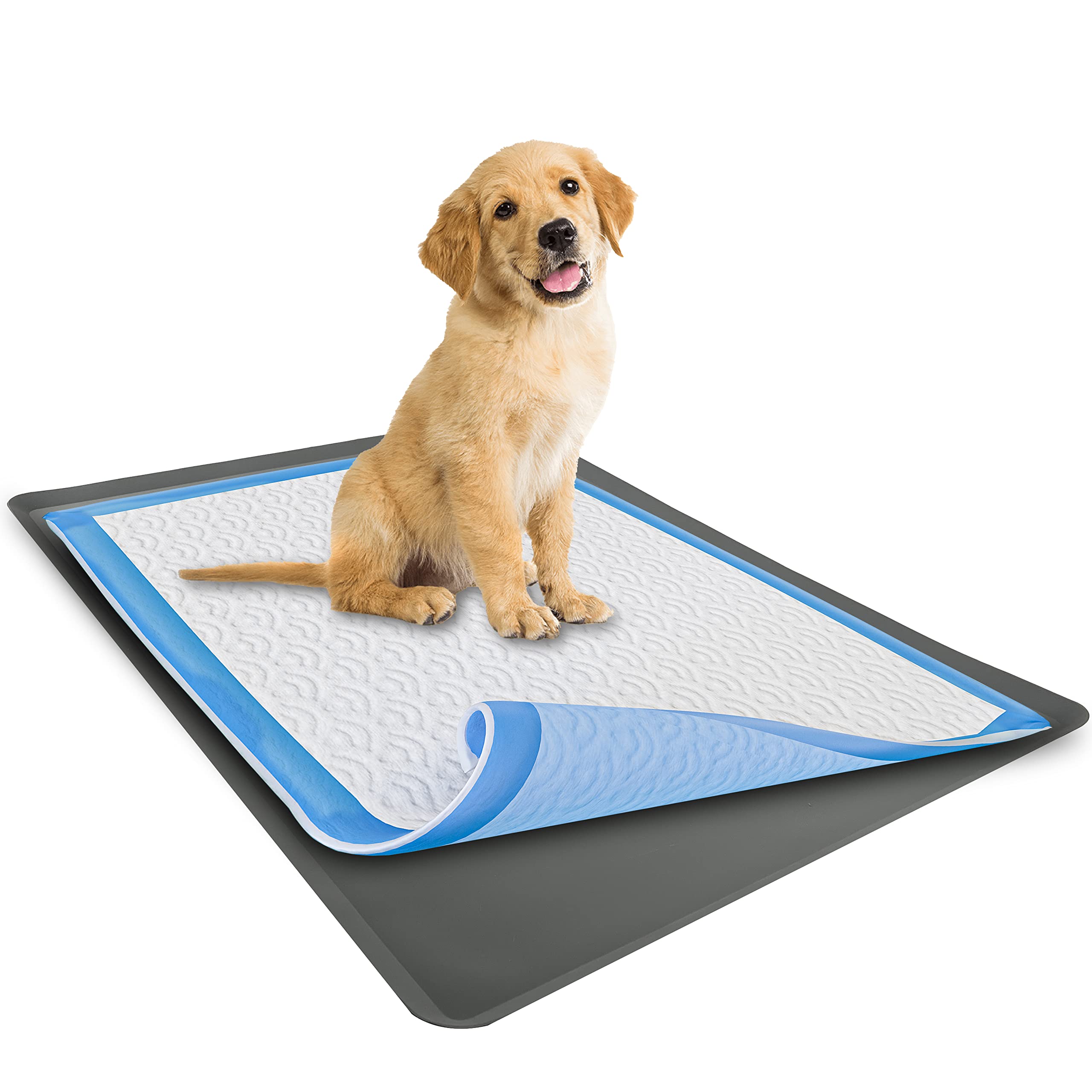 Skywin TidyFriend plateau-tapis-pipi-28x34: protège les sols et facilite l’entraînement.