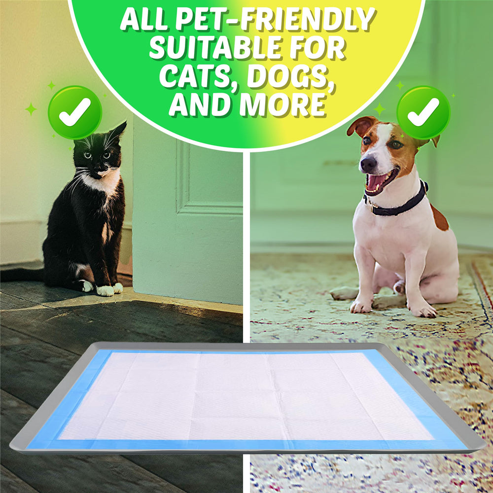 Skywin TidyFriend usage voyage: pliable et facile à transporter.