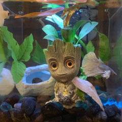 Ensemble d accessoires SLOCME pour aquarium avec tuyau et vannes inclus.