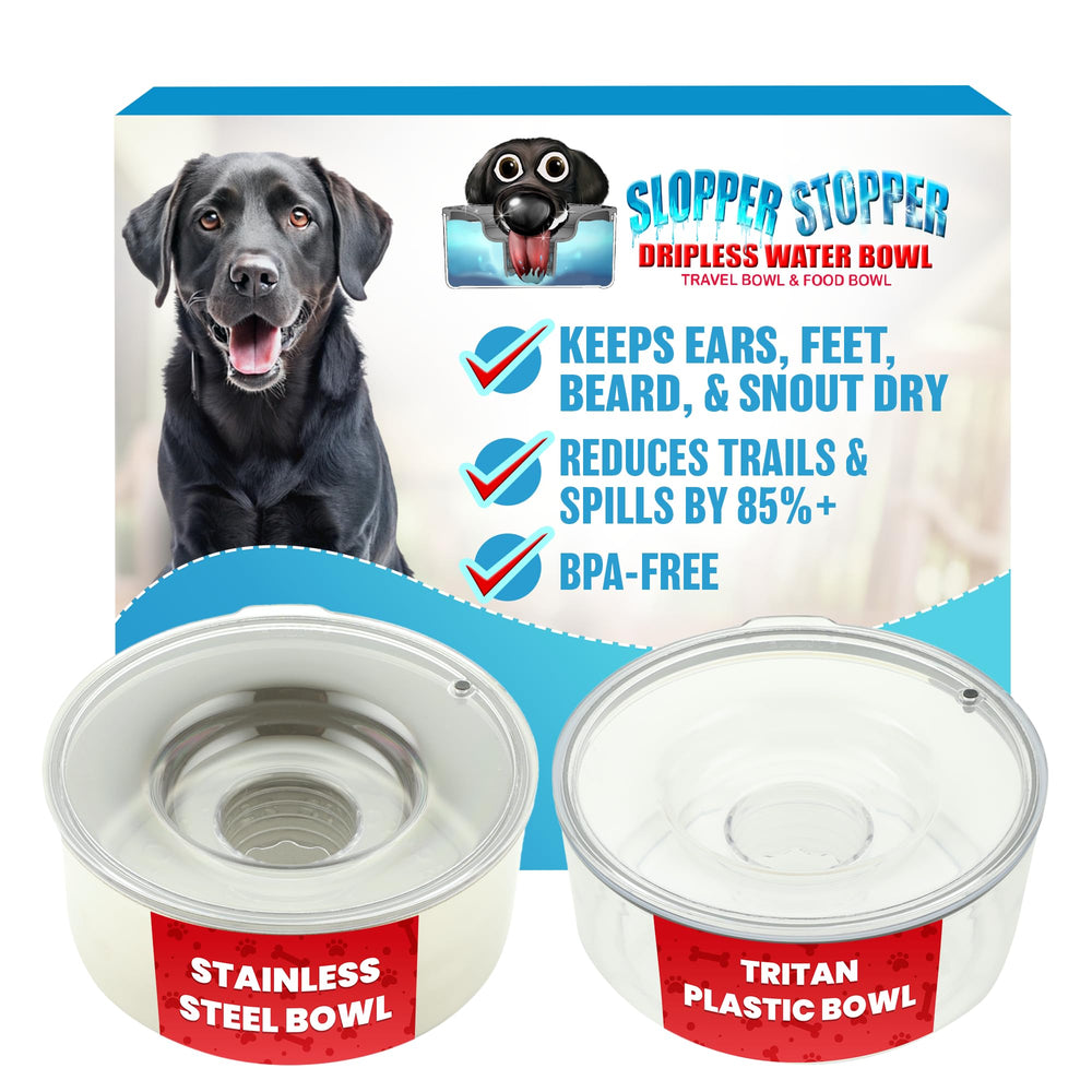 Slopper Stopper bol eau inox 1 gal pour chiens moyens, anti-éclaboussures.