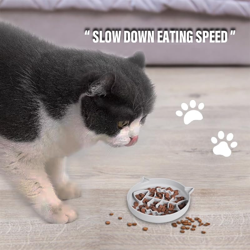 Slowpaw mangeoire-chat usage quotidien, contrôle pratique.