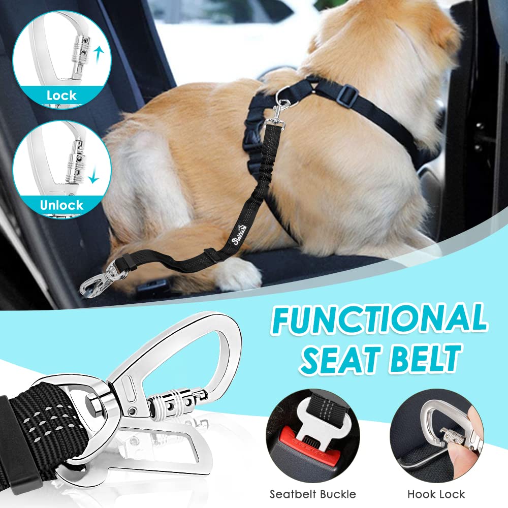 SlowTon attache bungee avec double clip, absorption des mouvements