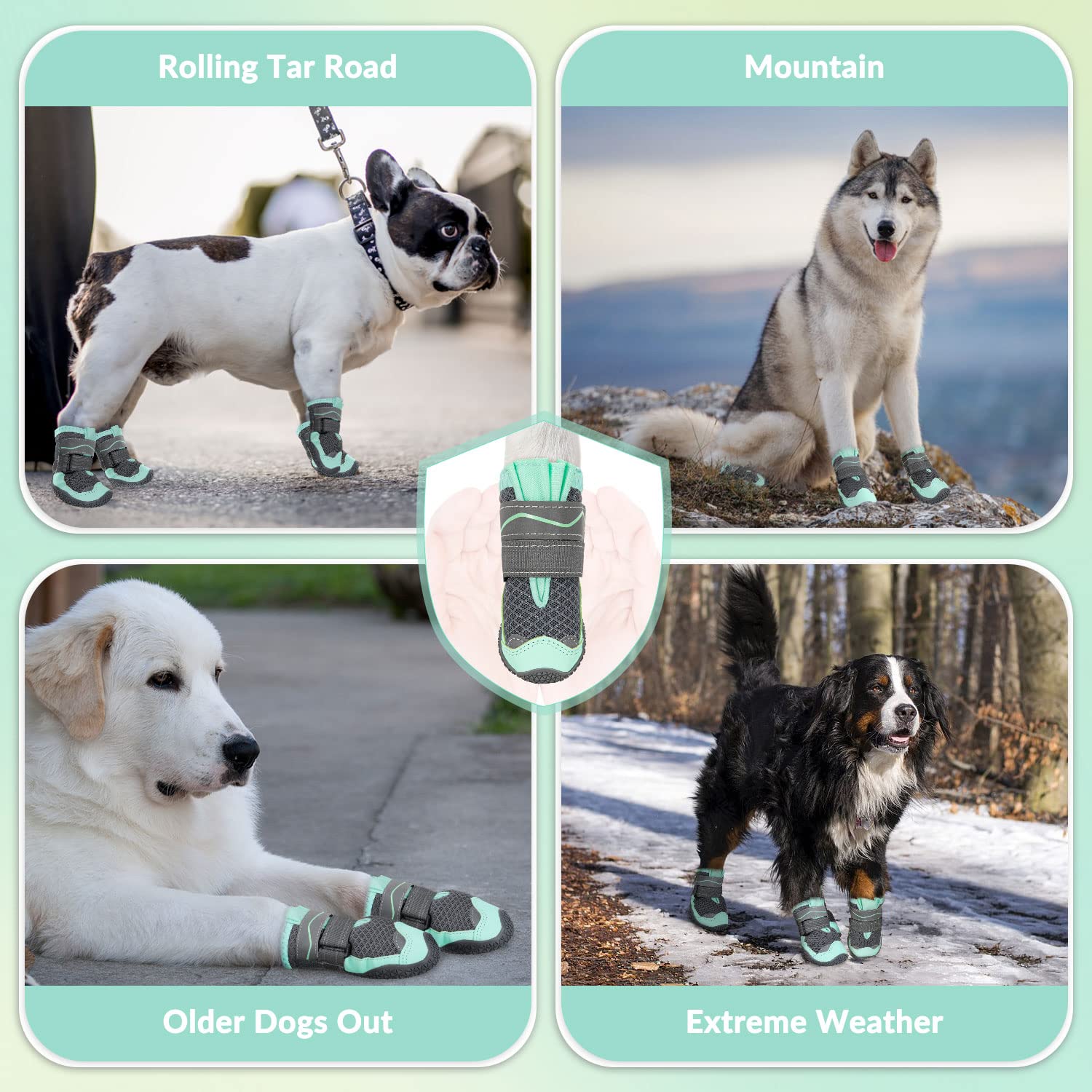 SlowTon bottes vertes pour chien allient style et fonctionnalite pour sorties quotidiennes.