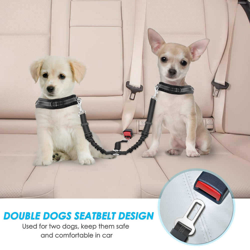 SlowTon ceinture chien double elastique bungee, confort lors des trajets.