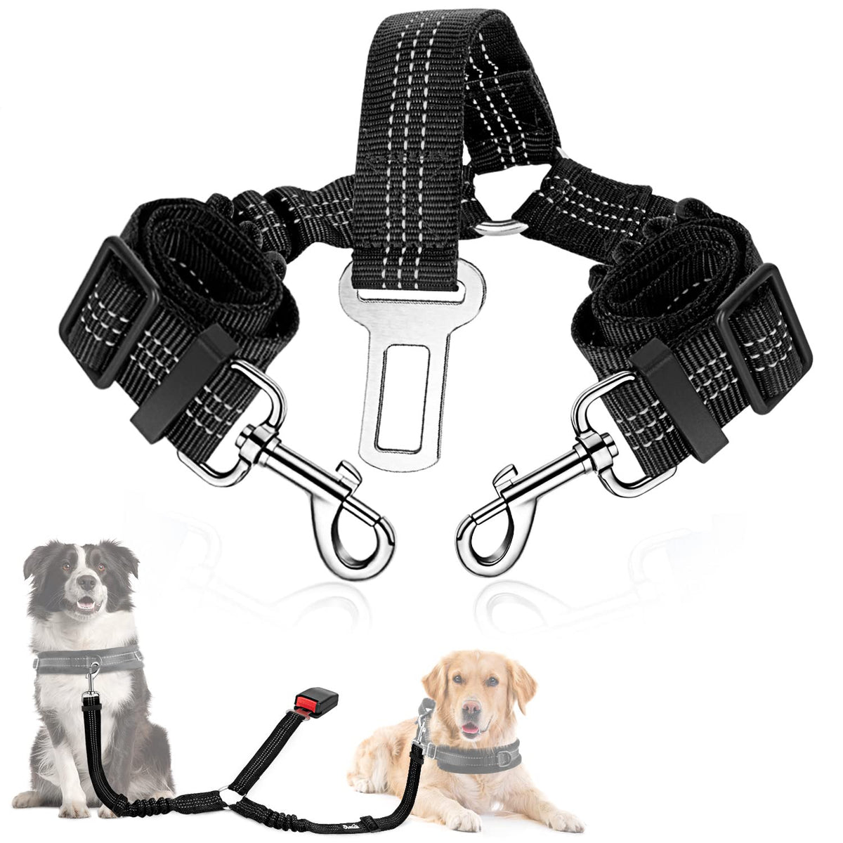 SlowTon ceinture chien double-elastique sécurise deux chiens pendant le trajet.