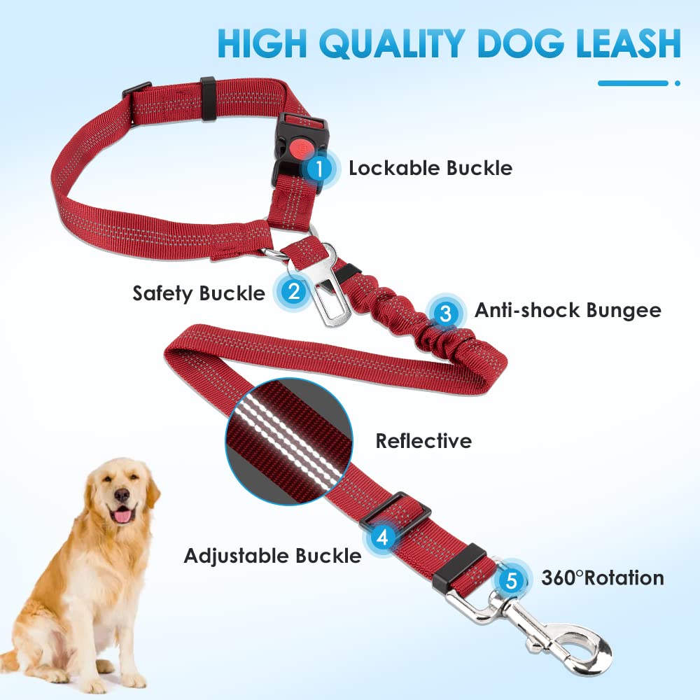 SlowTon connexion rotation à 360 degrés avec harnais du chien