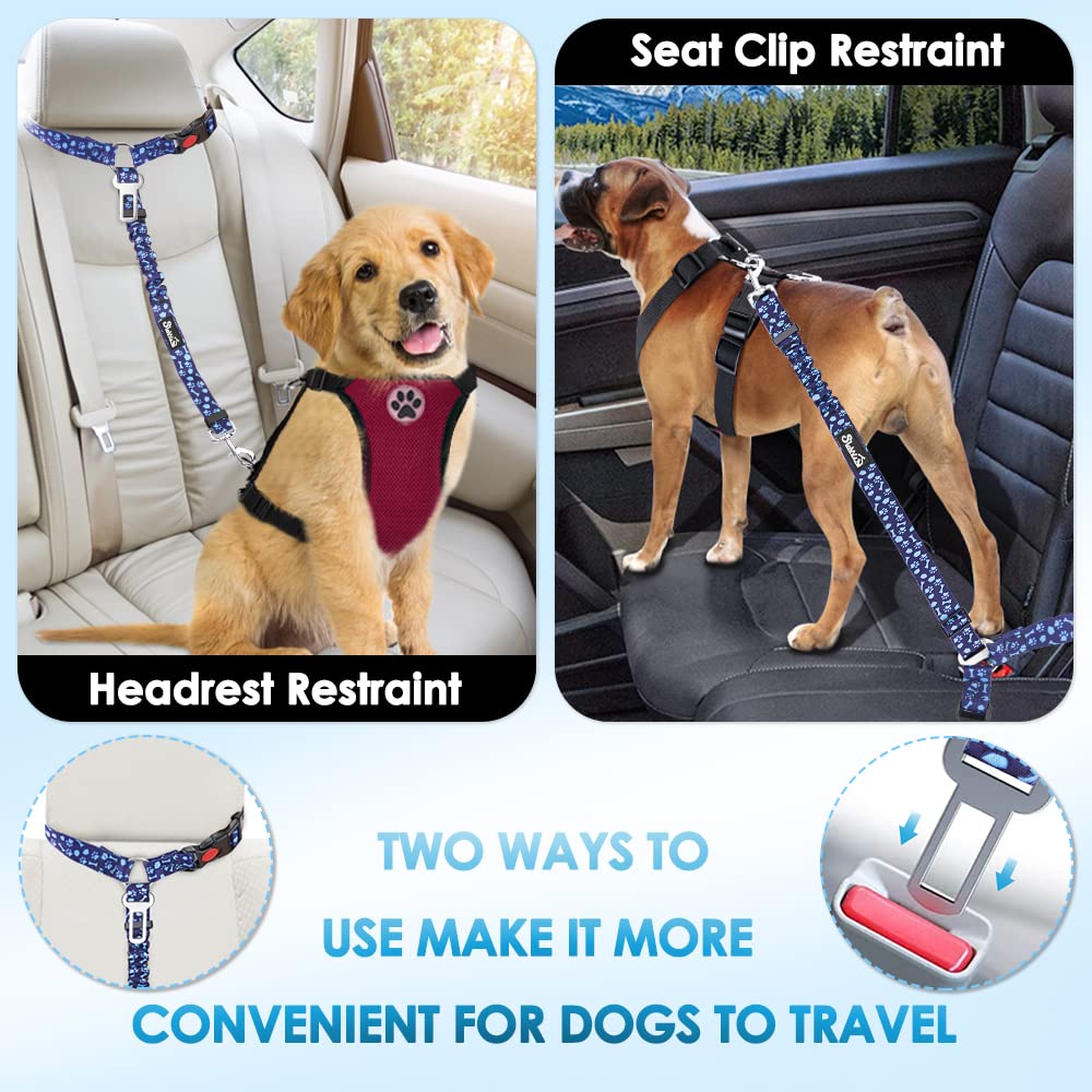 SlowTon : elastic-bungee amortit les mouvements du chien