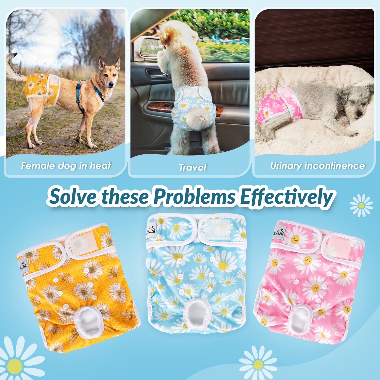 SlowTon couches-chienne-femelle-usage quotidien et pendant les chaleurs.