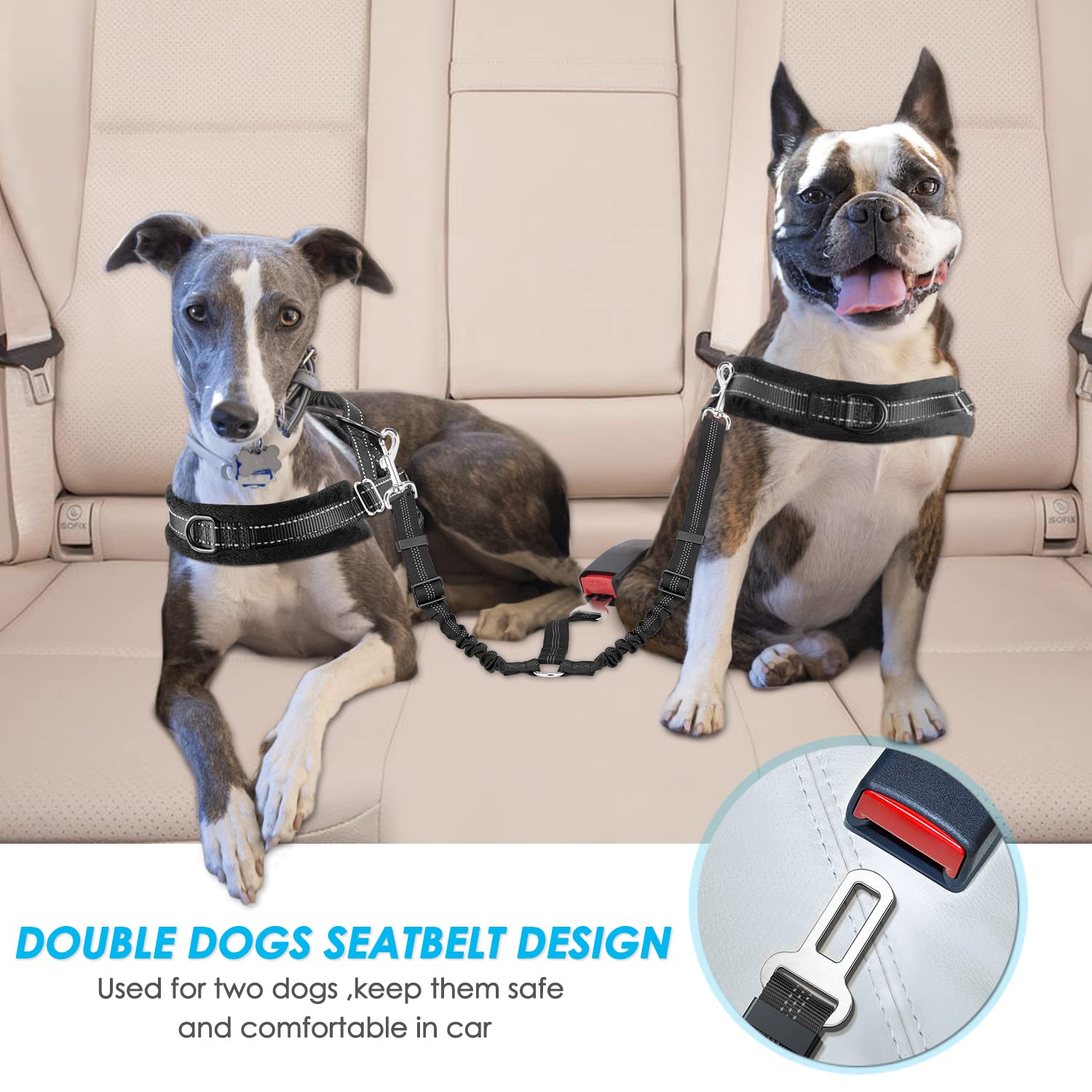 SlowTon design en Y inverse sépare clairement deux chiens sans enchevêtrement.