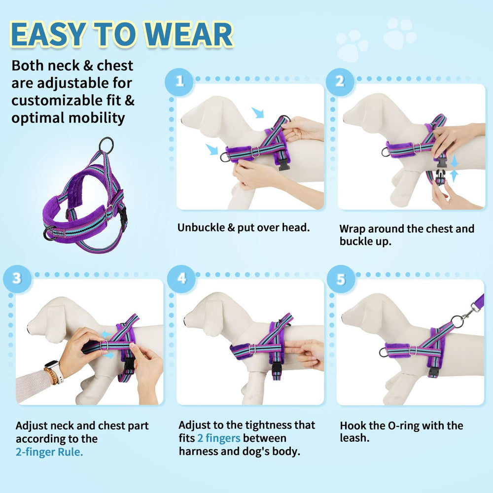 Ensemble harnais et longe pour chiens de petite taille SlowTon