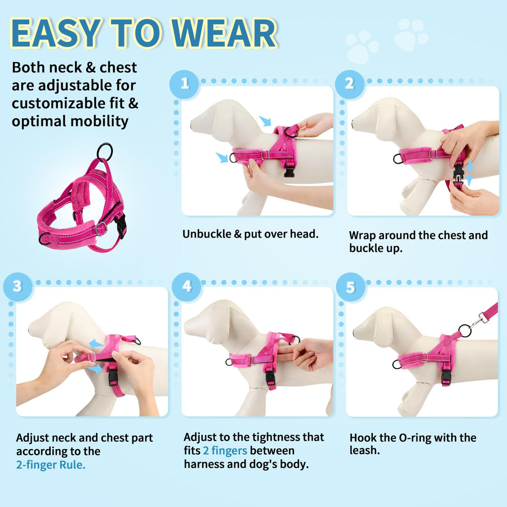 SlowTon ensemble pratique pour promenades urbaines quotidiennes