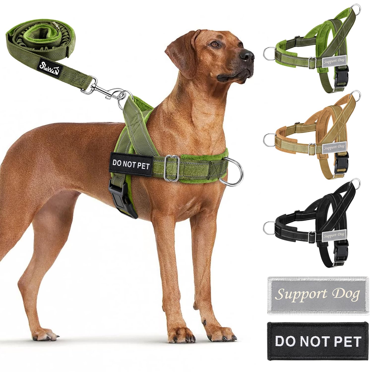 SlowTon harnais anti-tirage pour chien — vue avant, marche fluide et confortable.