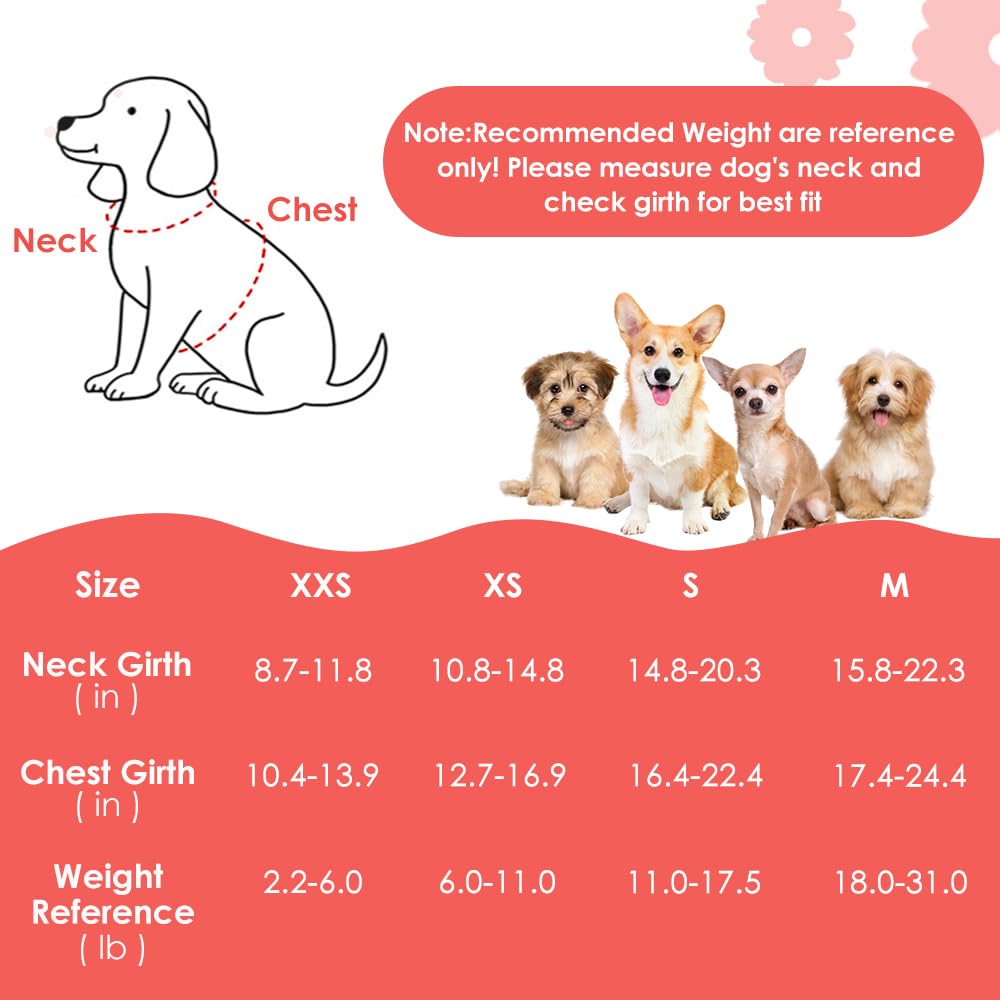 Harnais SlowTon en coton et suède, matière douce pour peau et poil.