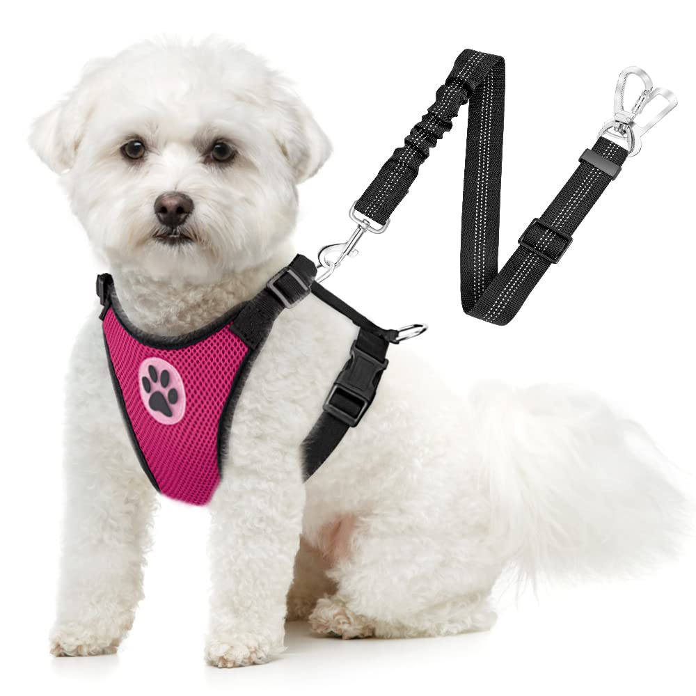 SlowTon harnais-chien sécurité voiture fuchsia avec double clips pour plus de sécurité
