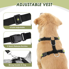 SlowTon harnais chien voiture elastique-bungee pour mouvement sécurisé