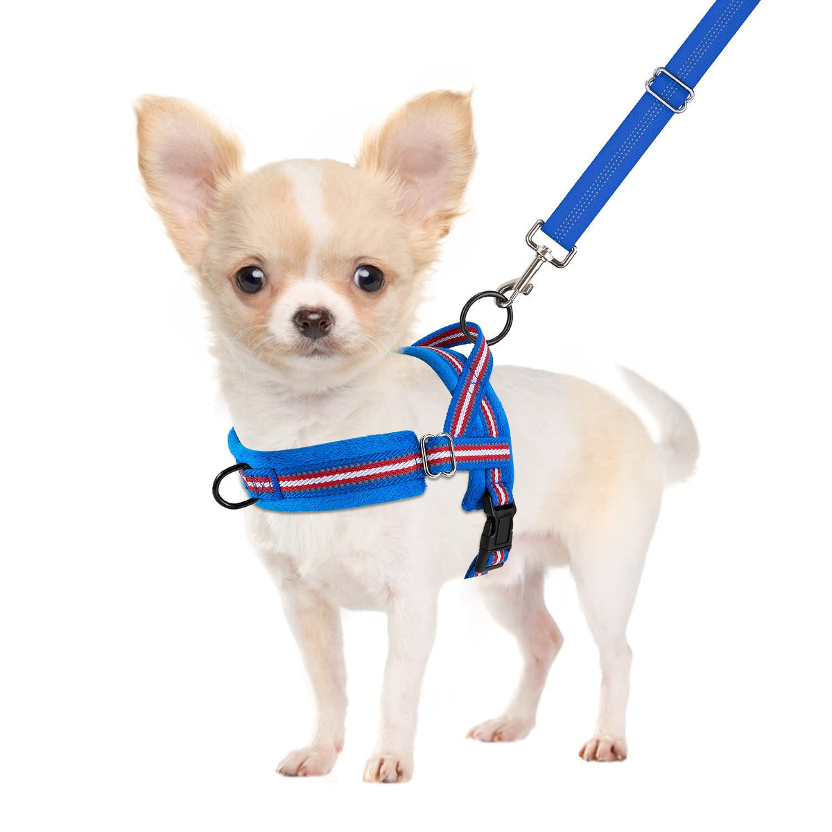 Harnais SlowTon petit chien avec clip avant, réduction des tirages.