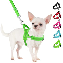 Harnais SlowTon petit chien avec clip avant pour limiter le tirage.