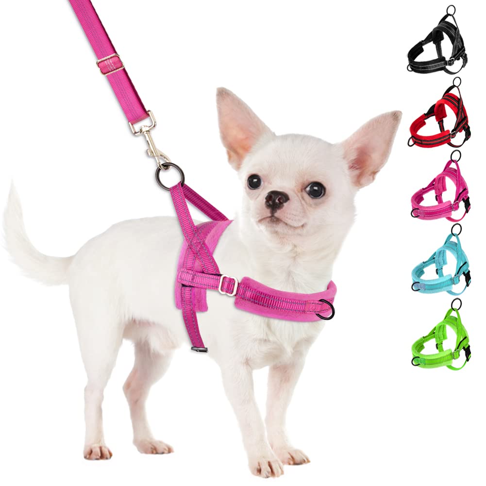 Harnais SlowTon pour petit chien en fuchsia, ajustable et confortable.