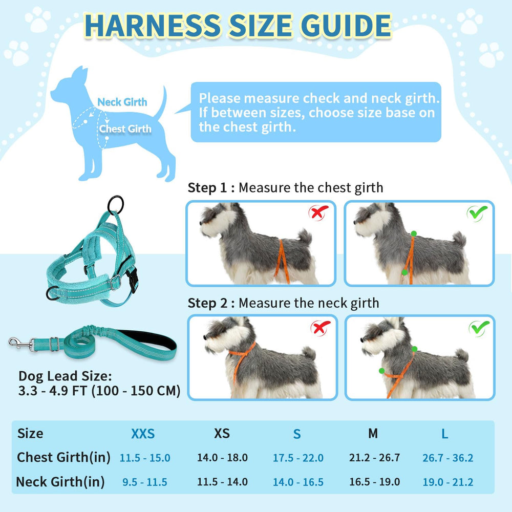 SlowTon harnais léger, idéal pour petits chiens et chiots en mouvement.