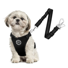 SlowTon harnais sécurité chien voiture avec double clip, stabilité renforcée.