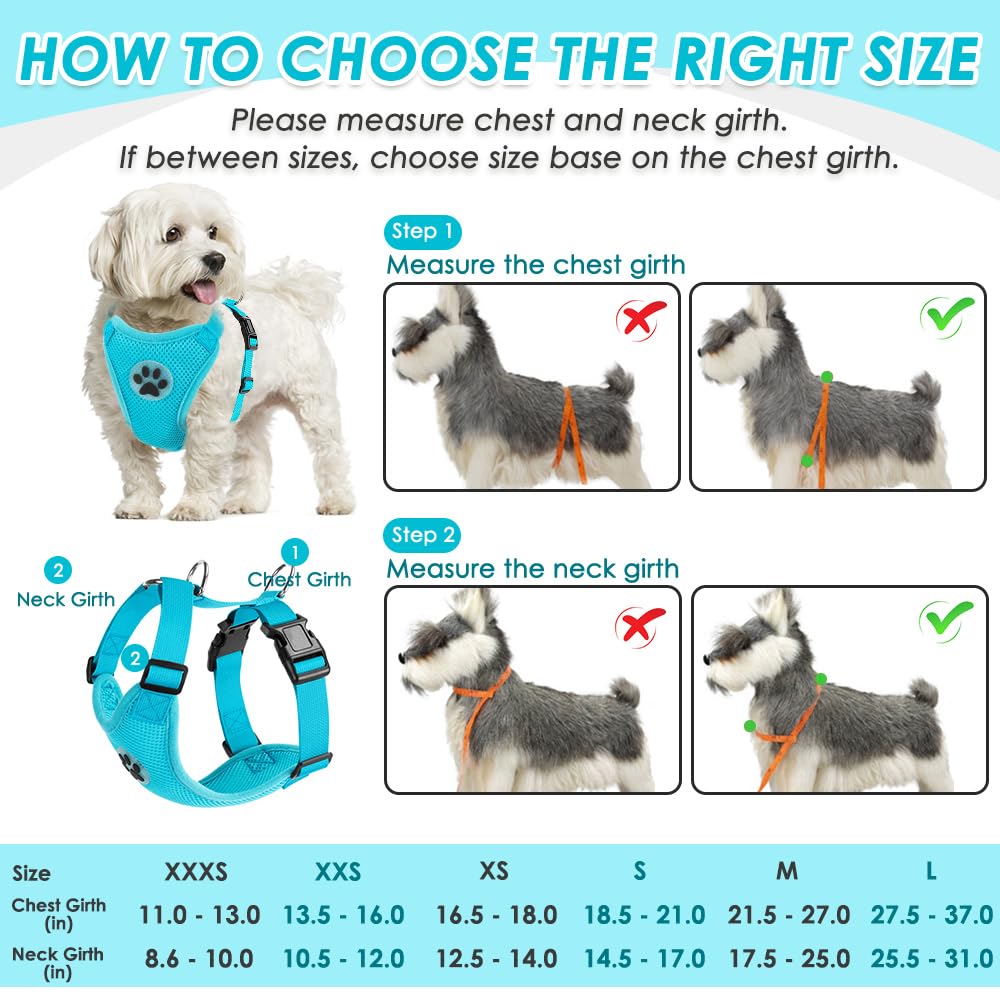 SlowTon harnais taille M pour chien petit-moyen, ajustement optimal