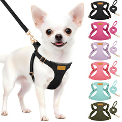 SlowTon harnais XXS ensemble noir pour petit chien, balades sans tirage.