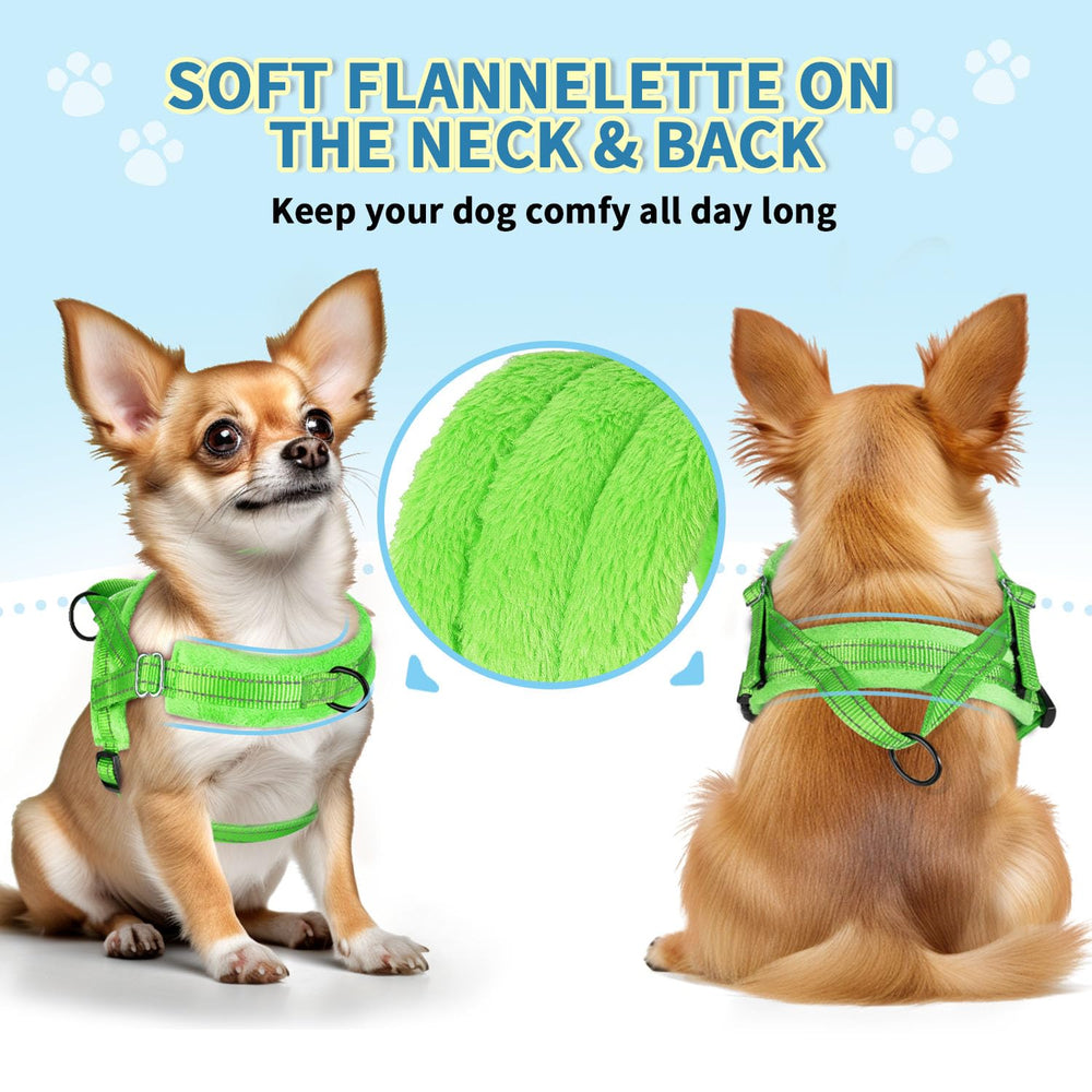 SlowTon laisse petit chien 1,2 m en nylon, anti-torsion, idéale pour balades et jogging.