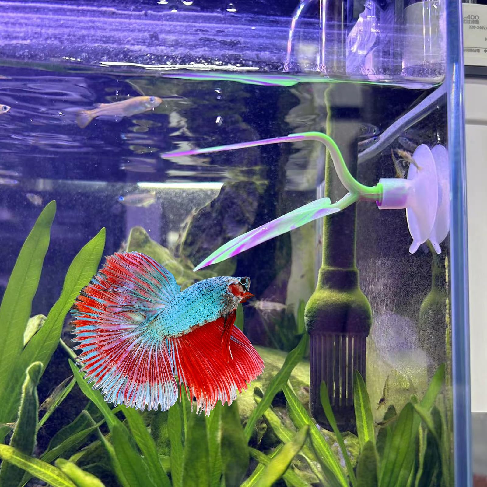 SLSON accessoire d'aquarium feuille-betta doux et sûr pour poissons