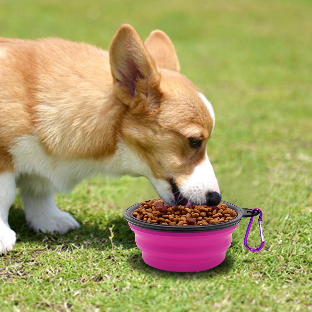 SLSON bol chien pliable vert violet avec deux mousquetons pratiques.