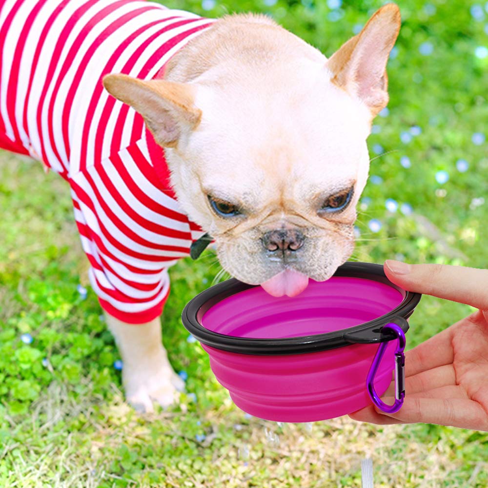 SLSON bol chien pliable vert violet lavable au lave-vaisselle.