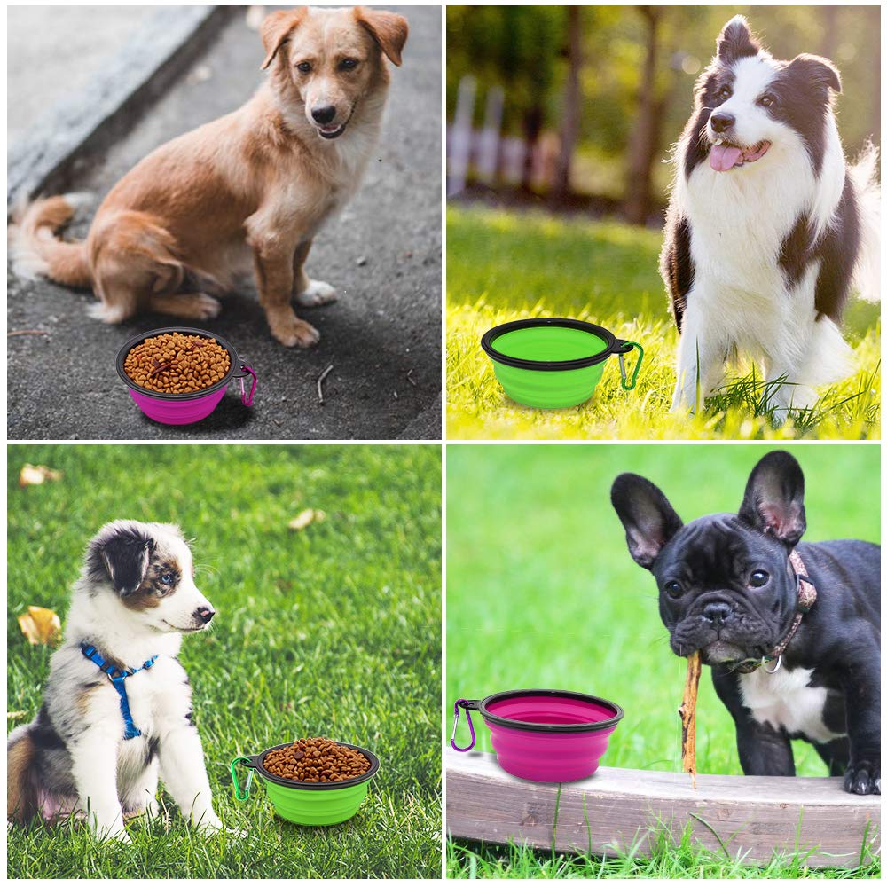 SLSON bol chien pliable vert violet utilisé en extérieur et voyage.