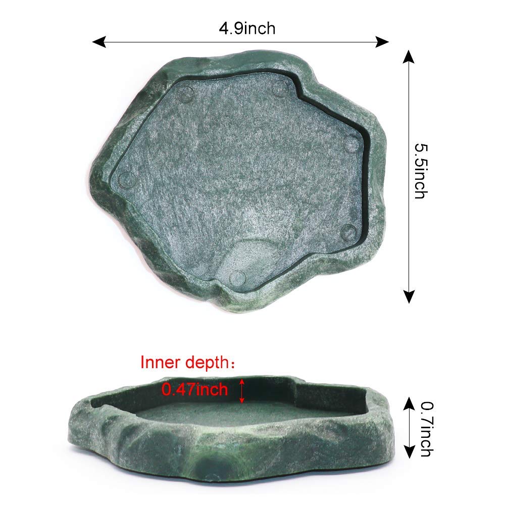 SLSON bol réptile facile à nettoyer et durable.