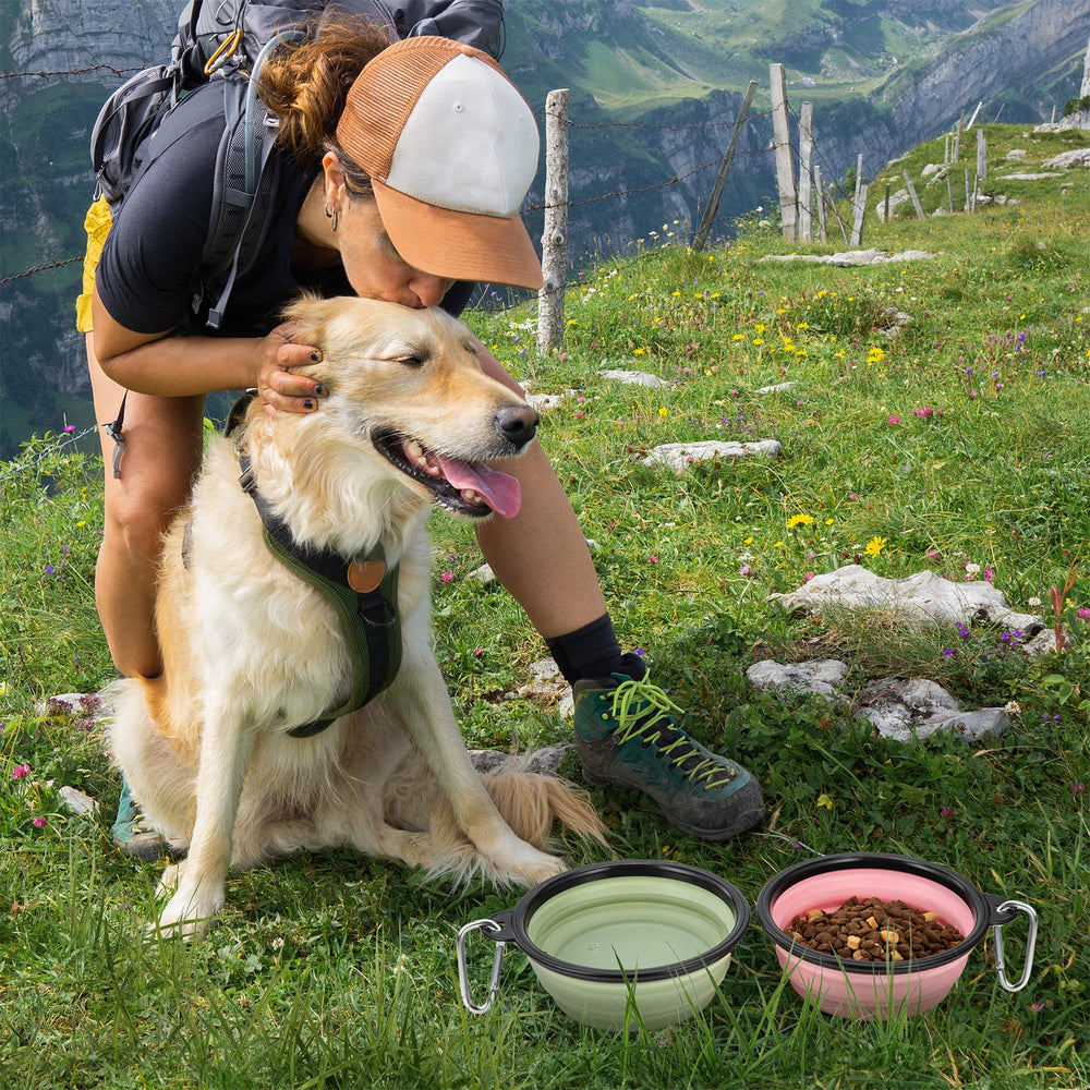 SLSON bol nourriture chien grand, capacité suffisante pour repas lors des trajets.
