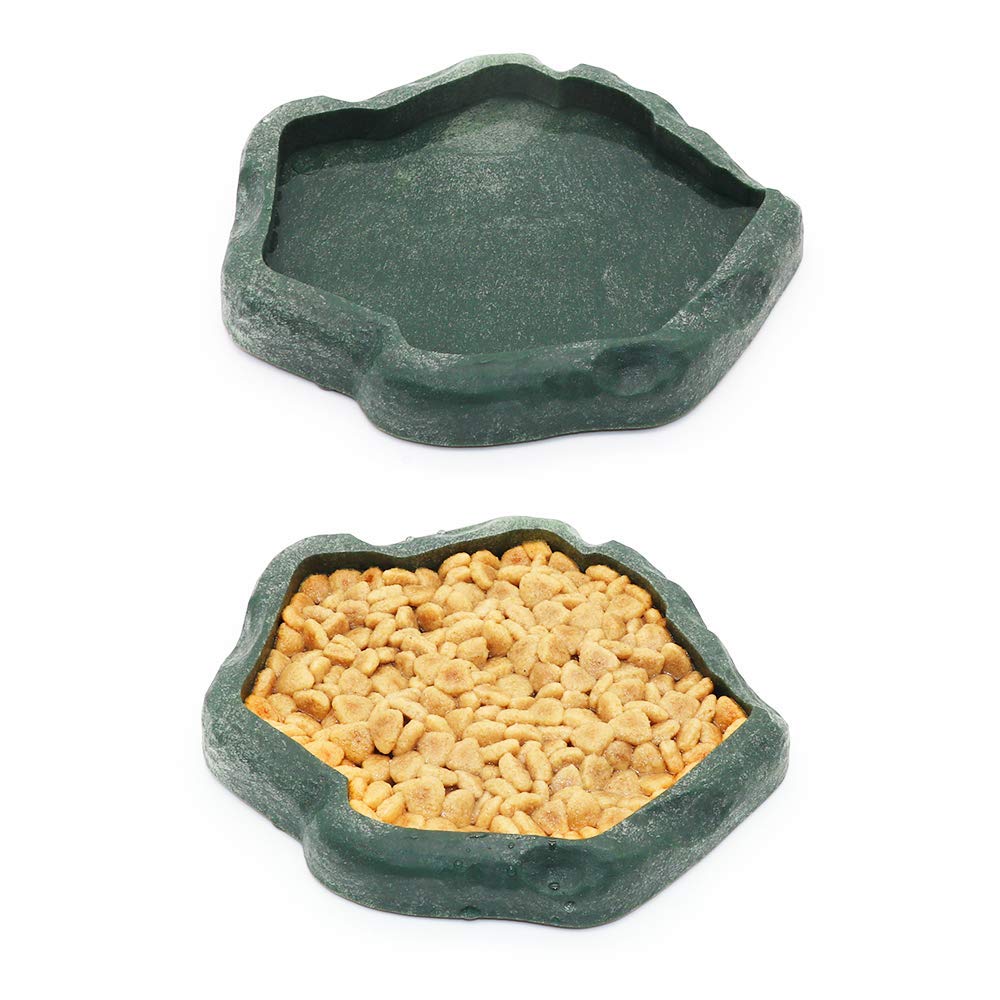 Bol alimentation réptile vert SLSON, décor naturel pour terrarium.