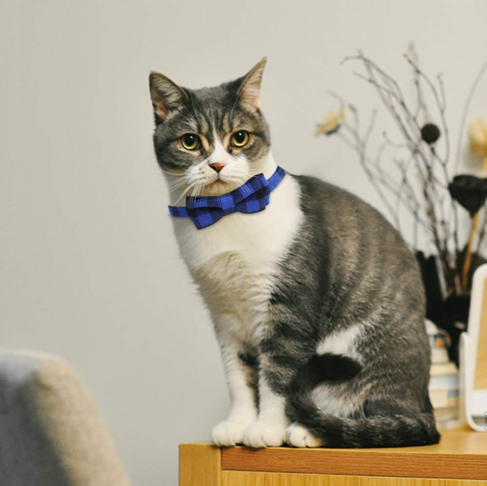 Collier SLSON plaid idéal pour chats et petits chiens lors des sorties.