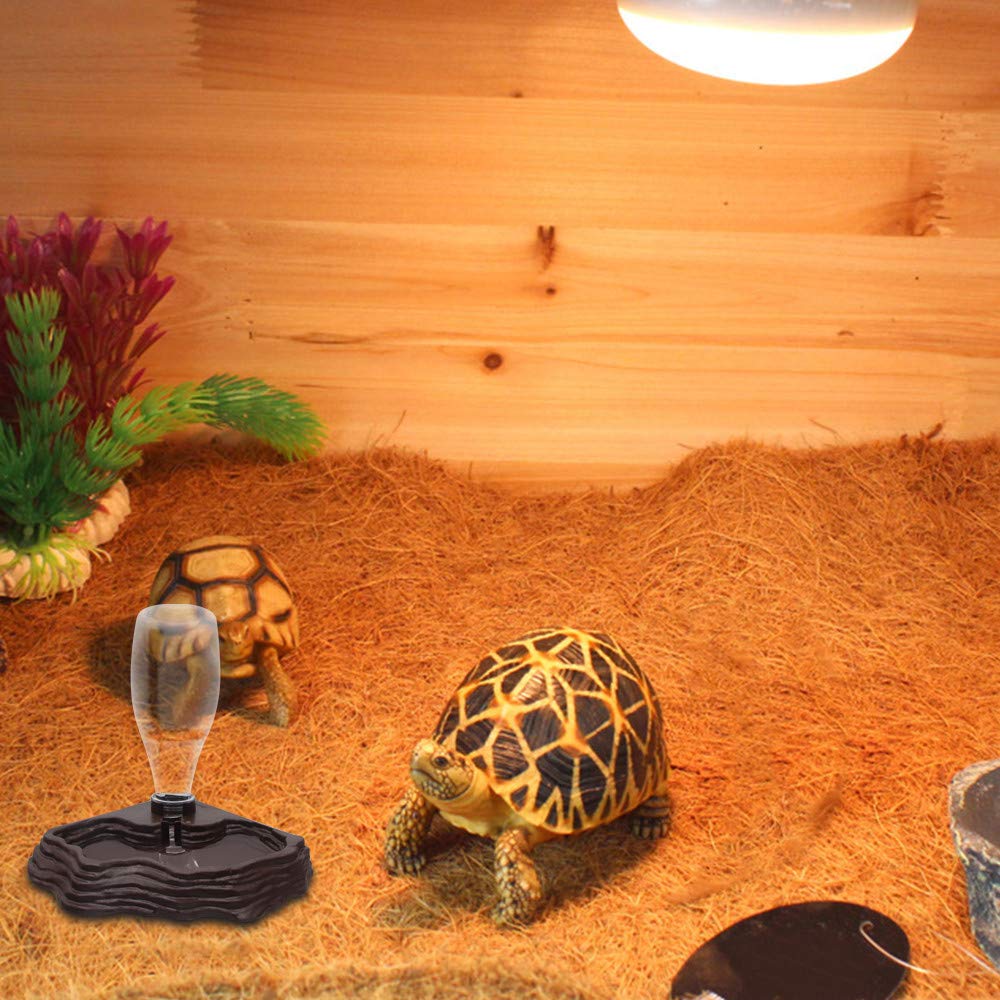 Compatibilite terrarium pour geckos tortues lezards.
