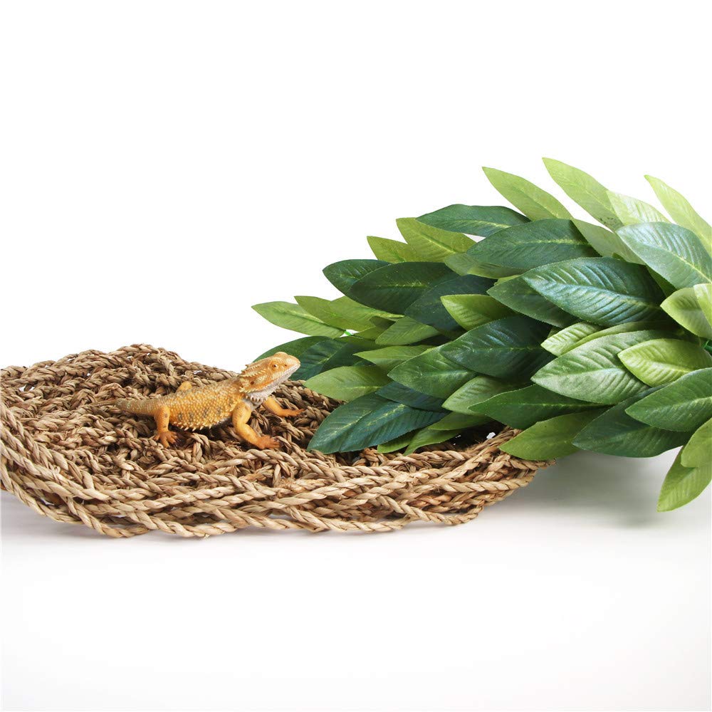 Conception durable SLSON – décoration verdoyante résistant au terrarium.