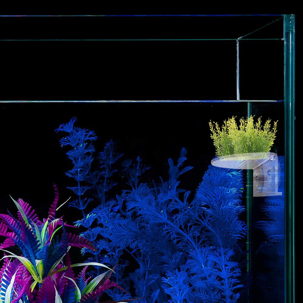 SLSON decor-aquarium-transparente: amelore l'esthetique sans masquer les poissons.