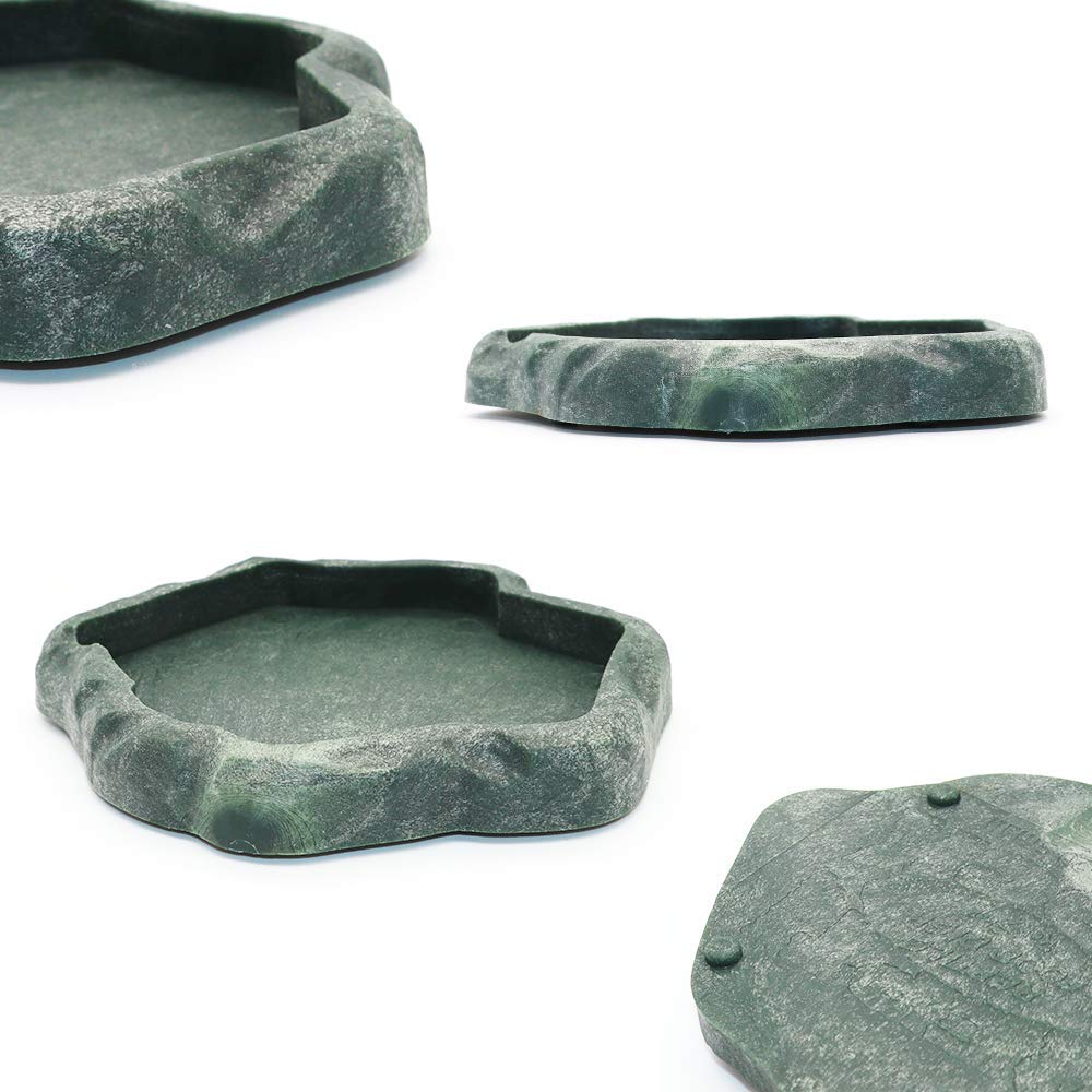 Design vert nature pour habitat reptile, bol décoratif.