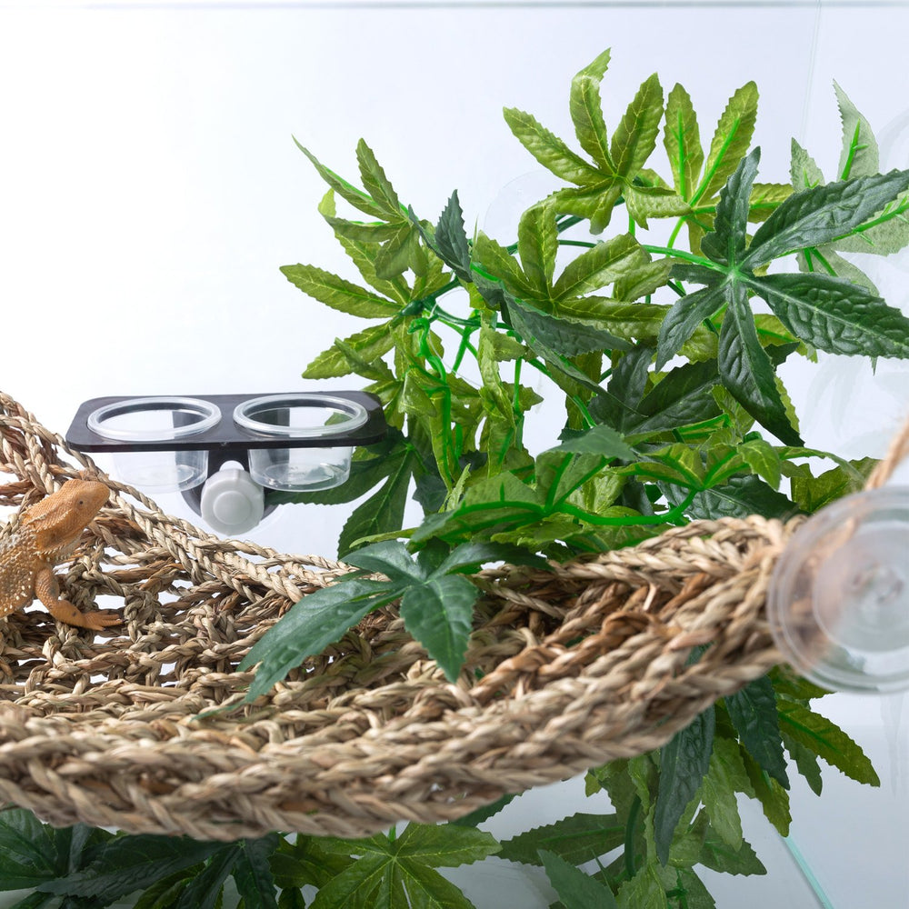 SLSON emballage contenant une plante suspendue de 12 pouces