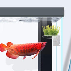 SLSON etagere-aquarium-plantes: place ideale pour creer des couches verticales.